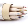 Набор цветных мини-карандашей с точилкой, 12 цв.