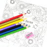Набор цветных карандашей Aihao 9018 "Sweet Secret", 48 цв.
